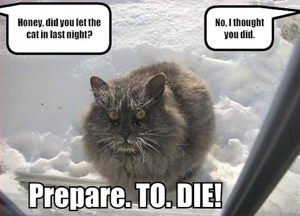 prepare-to-die-freezing-cat.jpg