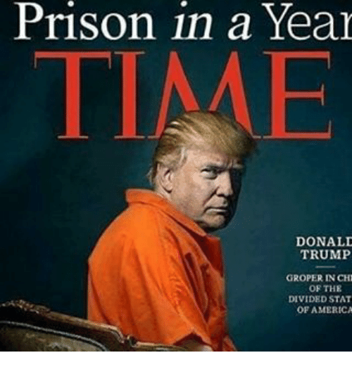 prison-in-a-year-donald-trump-groper-in-chi-of-8893002.png