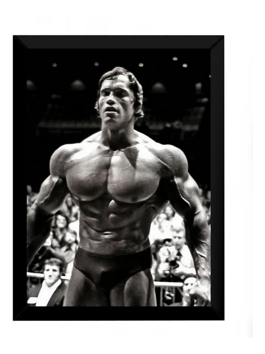 quadro-arnold-schwarzenegger-poster-moldurado-musculacao-arquitetura.jpg