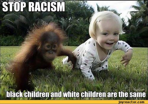racism-458371.jpg