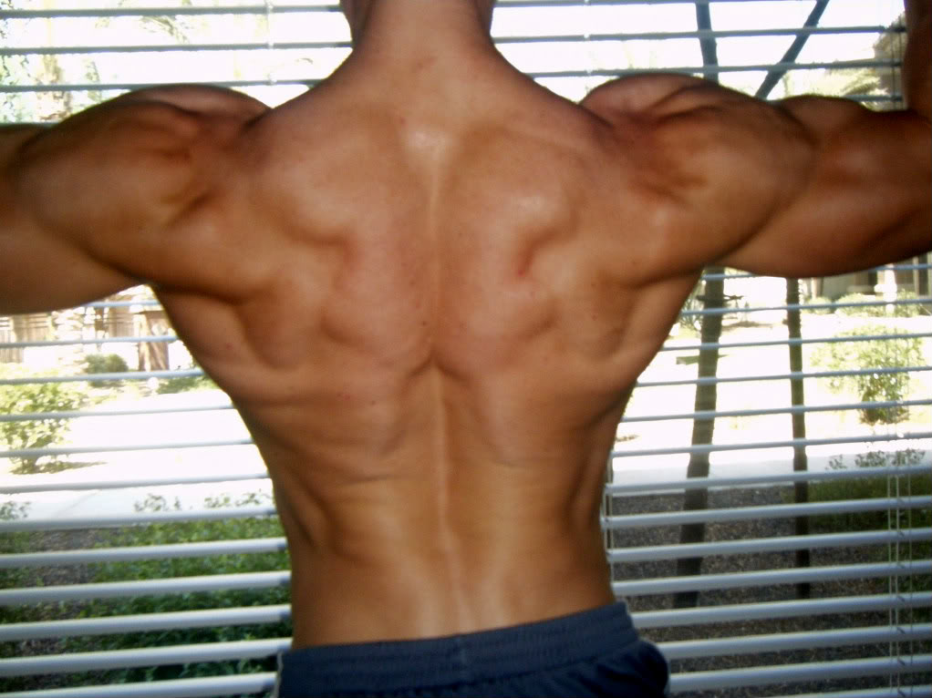 Reardoublebicep-1.jpg