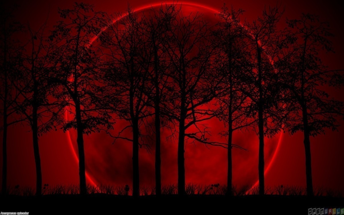 red_moon__1440x900.jpg