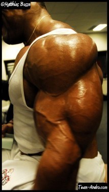 Roelly 1.jpg