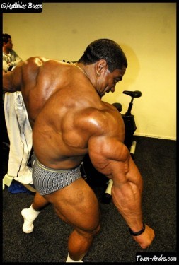 Roelly 2.jpg