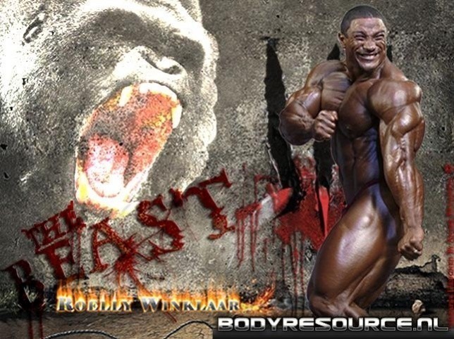Roelly%20The%20Beast%20Silverback%20copy.jpg