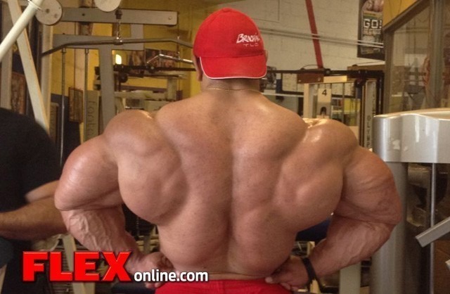 roelly-winklaar-ready-tampa.jpg