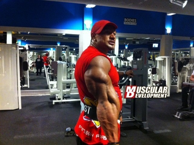 roelly2.jpg