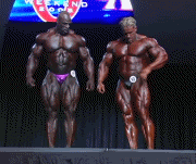 ronnie_coleman_jay_cutler_prejud-1.gif