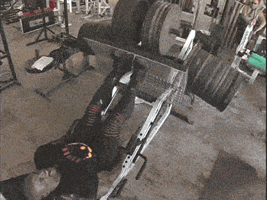 ronniecoleman-1.gif