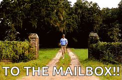 running-to-the-mail-box-65xp8115976vmlcn.gif