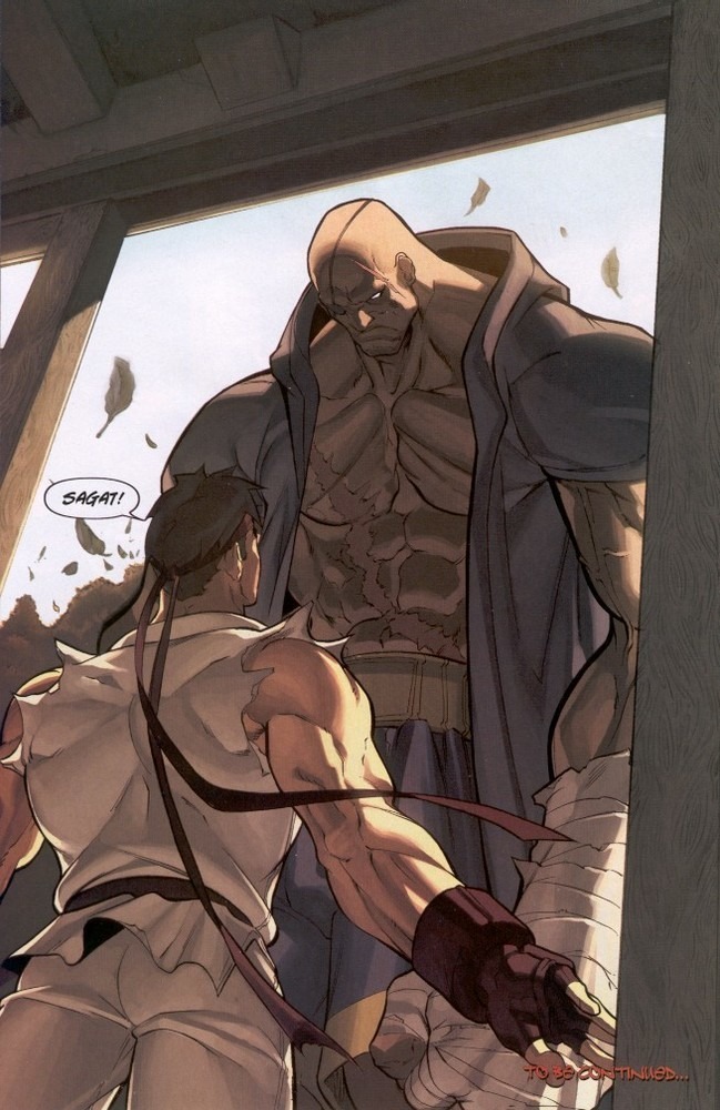 ryu-and-sagat-comic7.jpg