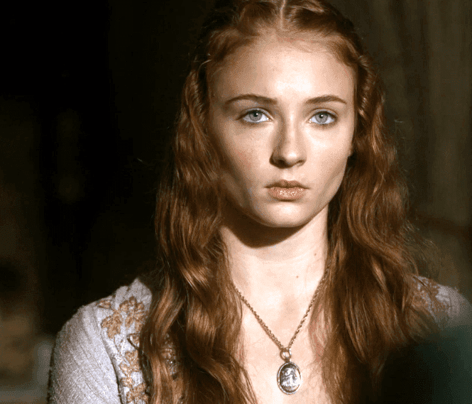 sansa-stark-sansa-stark-24487335-665-569.png