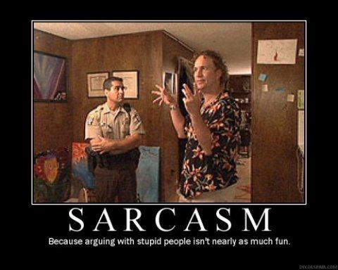 Sarcasm-sarcasm-343354_480_384.jpg