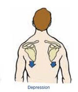 scapular-depression.png