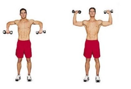 scarecrow-rotation-dumbbells.jpg