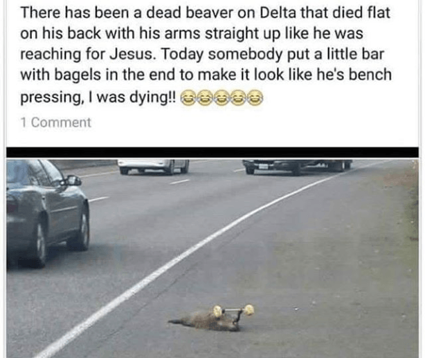 Screenshot_2018-11-07 Instagram.png