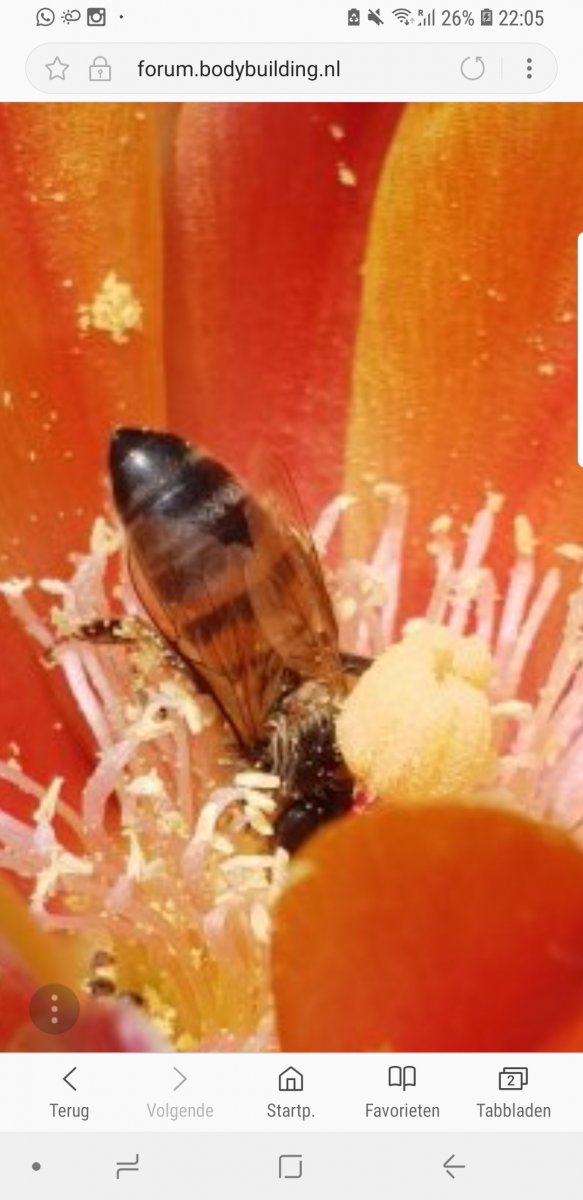 Screenshot_20180612-220554_Samsung Internet.jpg