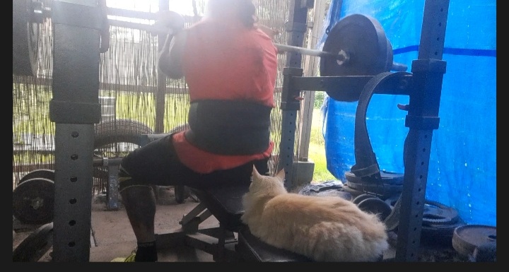 Screenshot_20210823-185756_Video trimmer.jpg