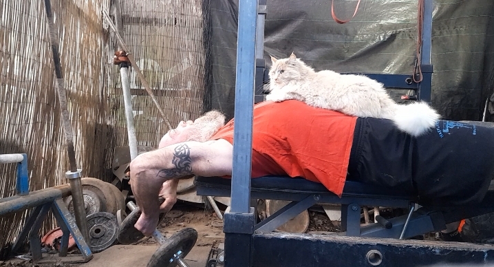 Screenshot_20220122-164525_Video Player.jpg