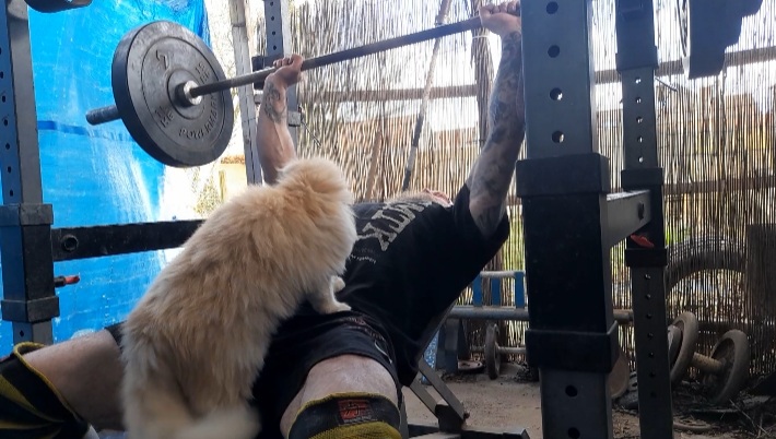 Screenshot_20220219-164934_Video Player.jpg