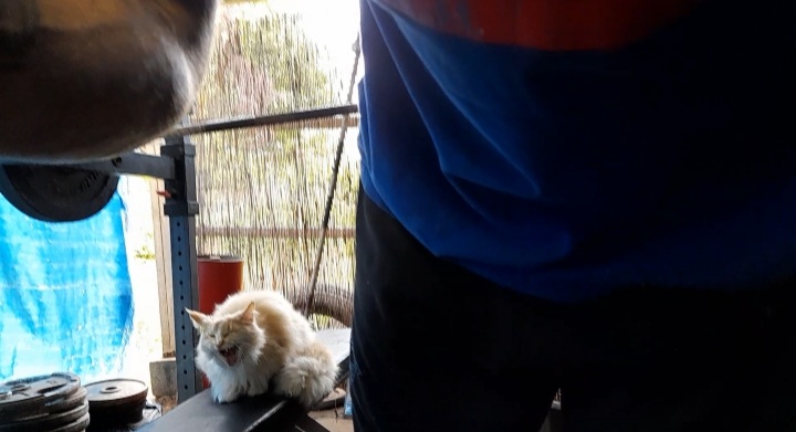 Screenshot_20220608-200929_Video Player.jpg