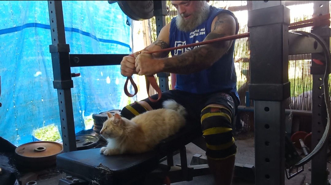 Screenshot_20221001-155700_Video Player.jpg