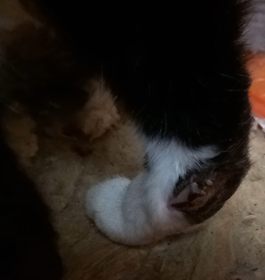 Screenshot_20221121-131305_Video Player.jpg