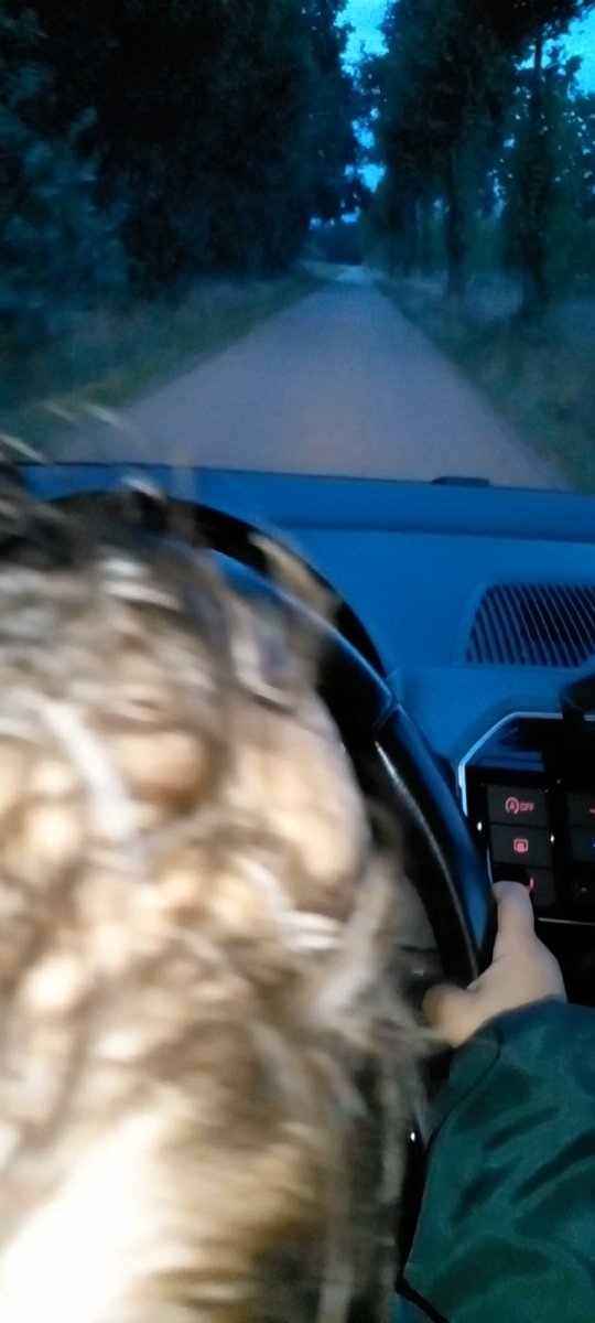 Screenshot_20221210-002855_Video Player.jpg