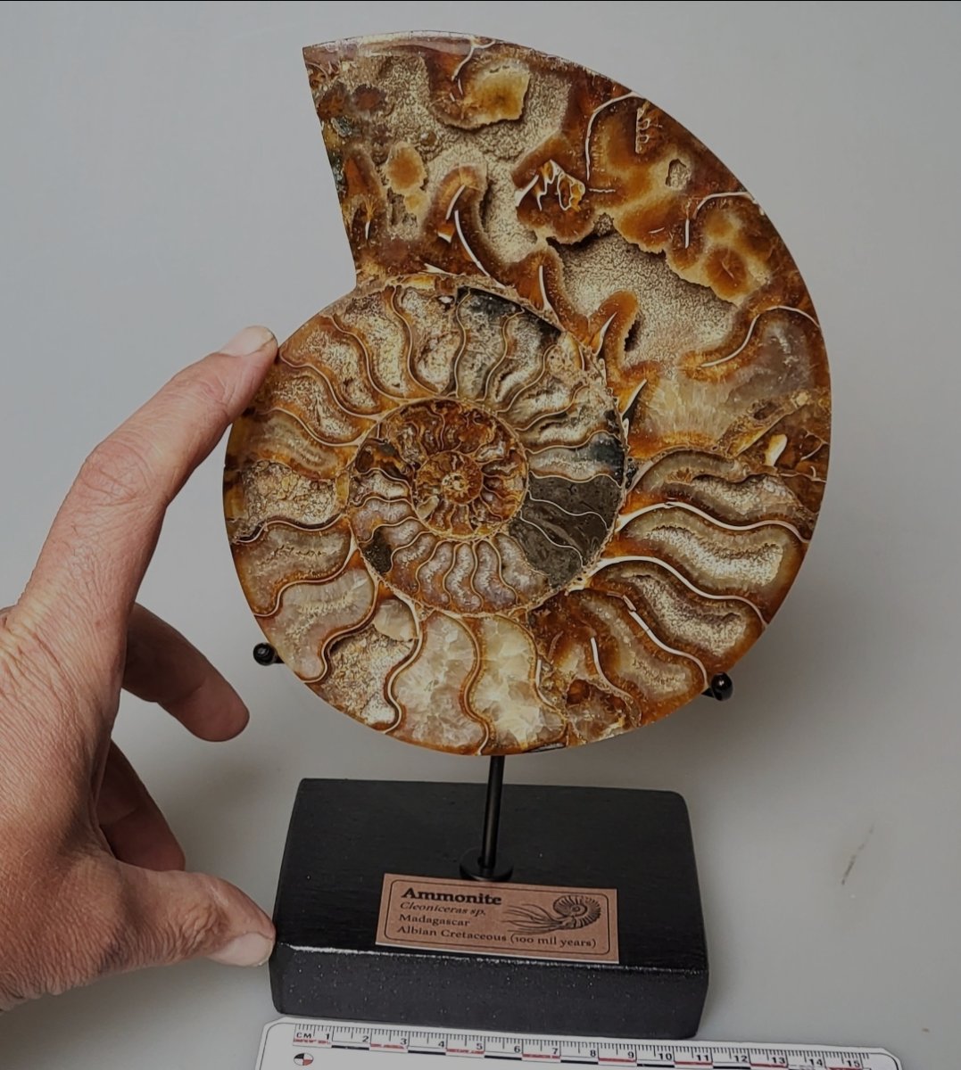 Screenshot_20230619_215822_Samsung Internet.jpg