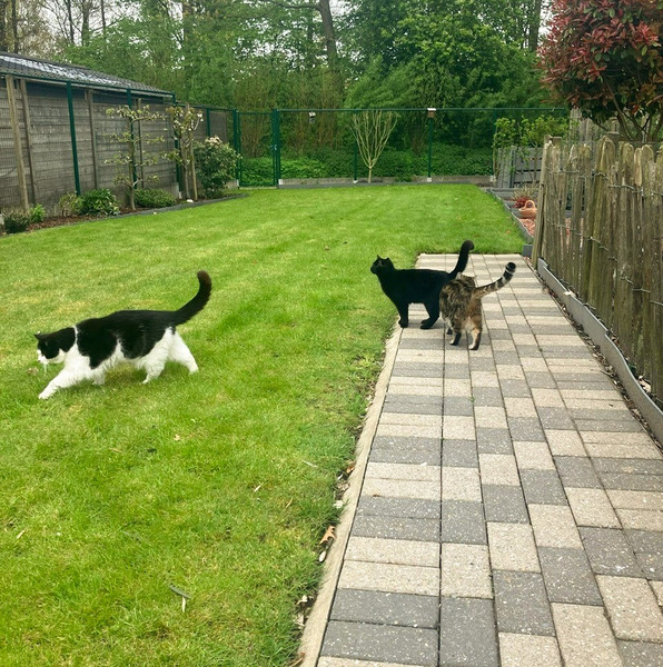 sdsfdssfqsdfsd (1).jpg