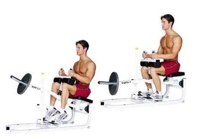 seated-calf-raises-1-7.jpg
