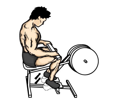 seated_calf_raises.jpg