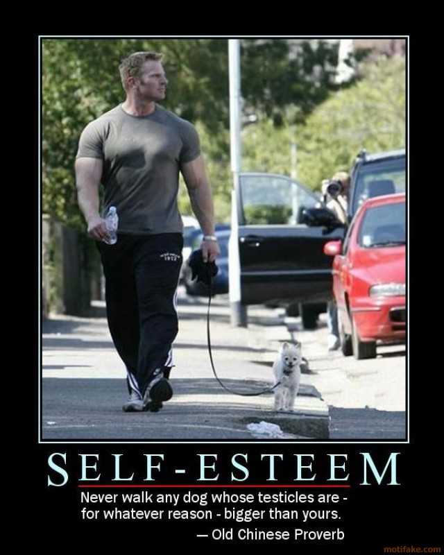 self-esteem-demotivational-poster-1218241871.jpg