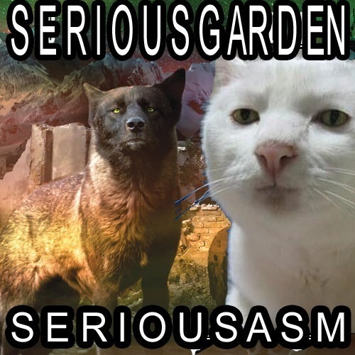 SeriousGarden.jpg