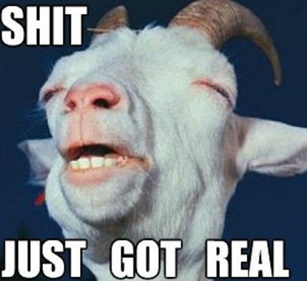 Shit-Just-Got-Real-Funny-Goat-Meme-Image.jpg