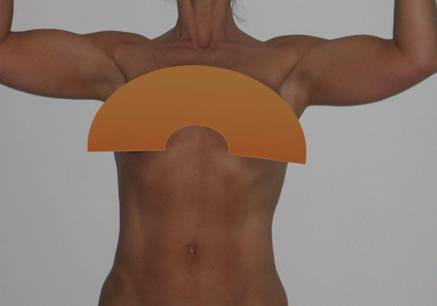 Shoulders & arms 3.jpg