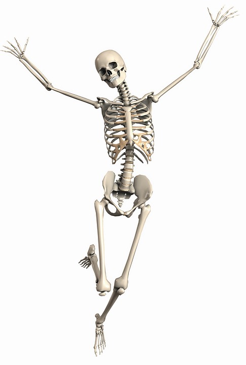 skeleton-2504341_960_720.jpg