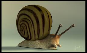 slak_3D.jpg