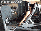 SLSeatedCalfPress.gif