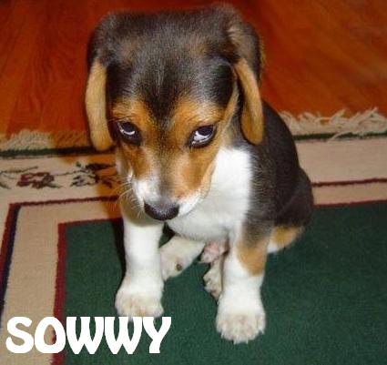 sowwy_dog_lg.jpg