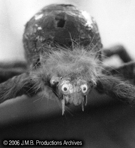 Spider1-cu.jpg