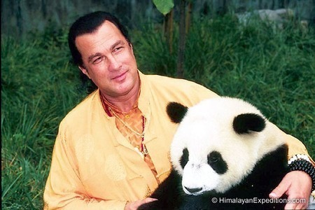 steven-seagal_large.jpg