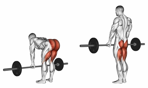 StiffLegDeadlifts.jpeg