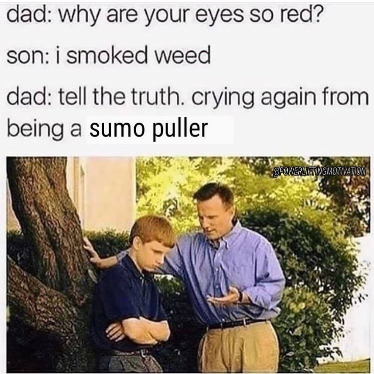sumo.jpg