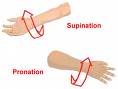 supination.jpg
