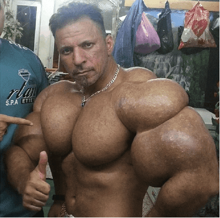 synthol2.png