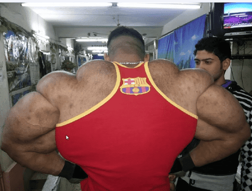 synthol3.png