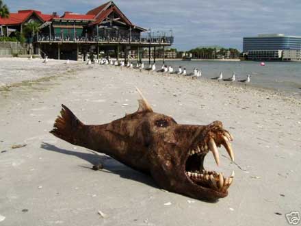 tampa-sea-monster.jpg