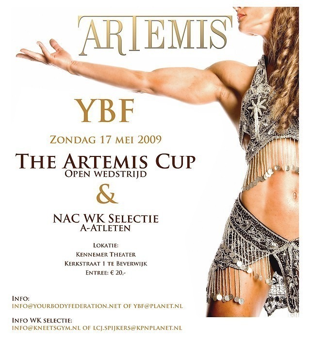 the artemiscup 2009.jpg