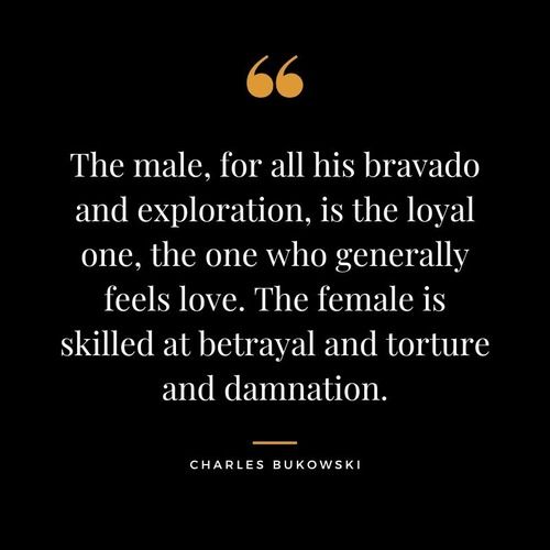 The-male-for-all-his-bravado-and-exploration-is-the-loyal-one-the-one-who-generally-feels-love...jpg